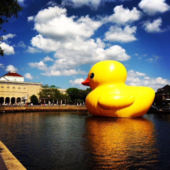 Meet your Posher, Jarmia - Picture 1 of 1